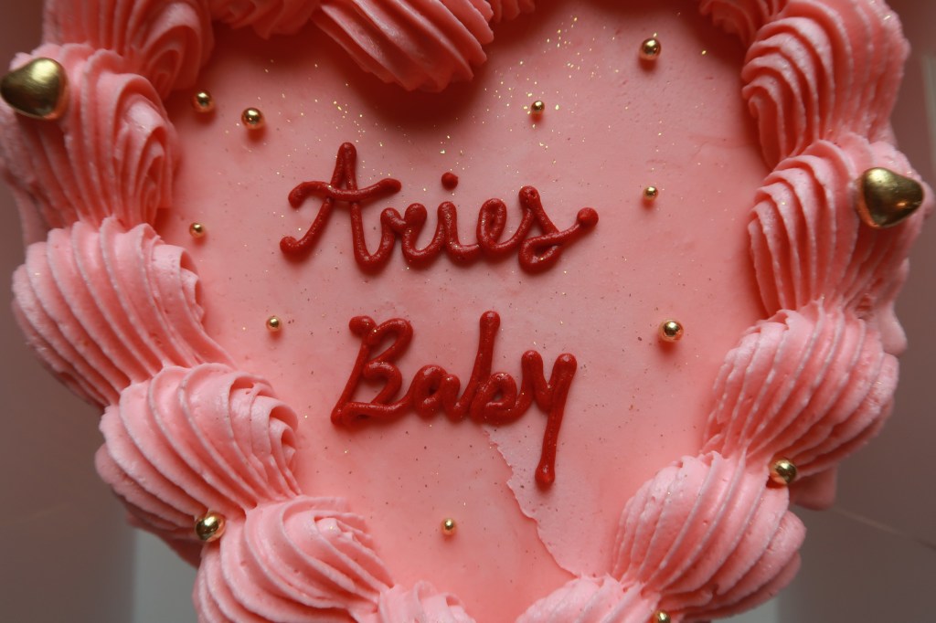 Beginner Cake Decorating Tools &&nbsp;Foundation.